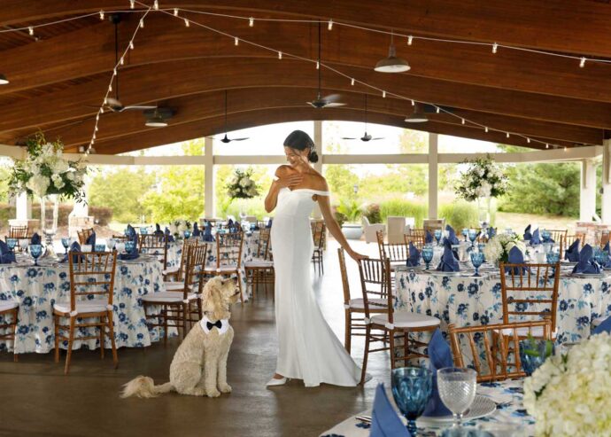 Pavillion with Bride and Dog