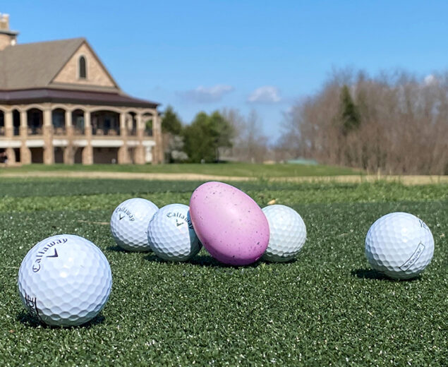 Easter Egg & Golf Balls