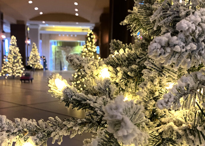 Frosted Christmas Trees