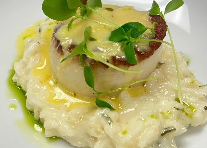 Gourmet entree of seared Scallops atop mashed potatoes, garnished with greens.