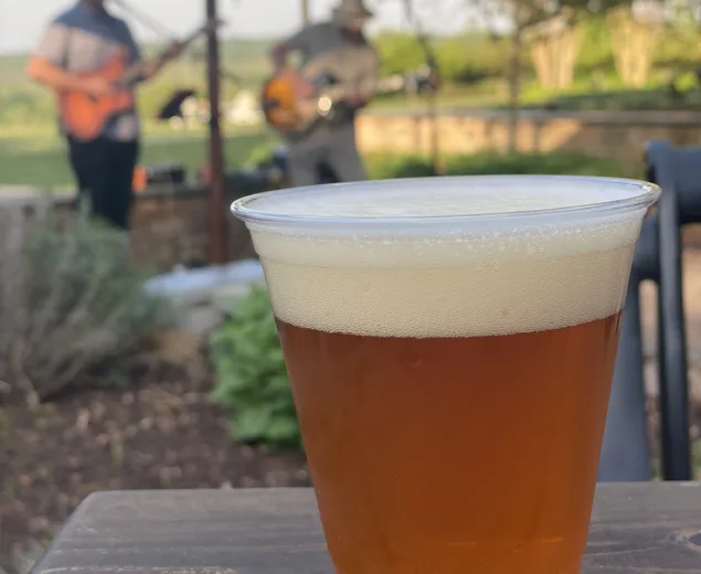Chilled pint of golden beer with a foamy head on an outdoor patio table with blurred greenery in the background.