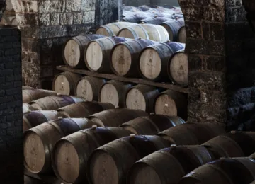 Chateau Musar Cellar