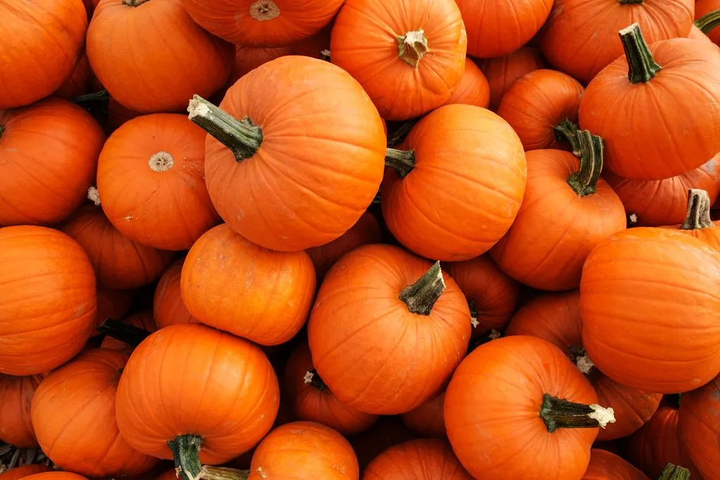 Several pumpkins stacked on top of each other in a pile.